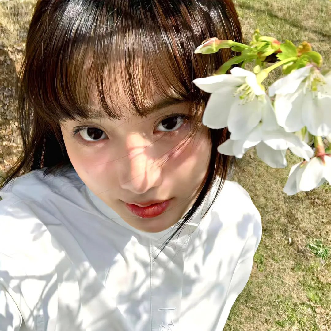 绽放的阿尔斯诺特利亚